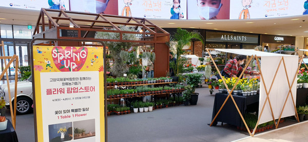 플라워 팝업스토어