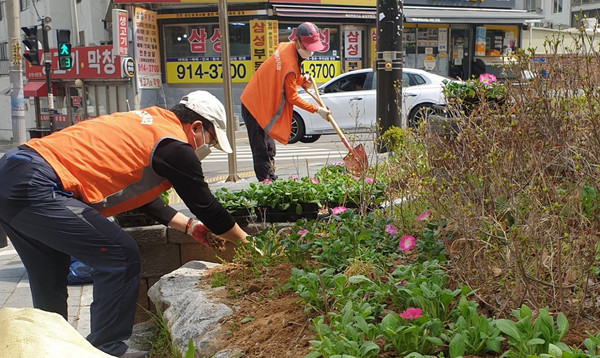 일산2동 주민자치회가 지역의 곳곳에 꽃을 식재했다.