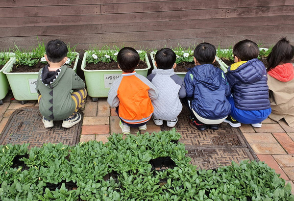 어린이들이 화단에 심어진 꽃이 신기하고 이쁜지 옹기종기 앉아 구경을 하고 있다.