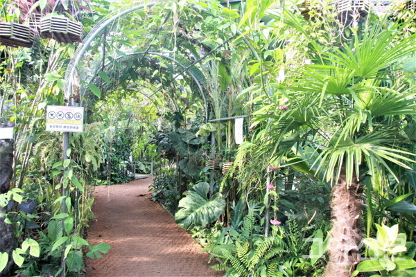 다양한 열대식물이 가득한 정글가든. 