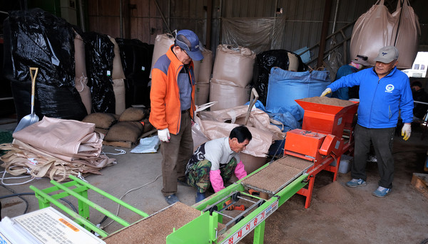 모판을 담고 있는 조합원들.