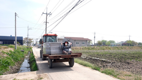 모판을 나르러 논으로 향하는 트랙터.