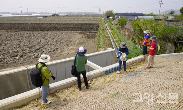 유(U)자형 수로를 살펴보는 참가자들. 사진 가운데에서 위로 연결된 기존의 농수로와 비교해보면 엄청난 크기 차이를 확인할 수 있다. 