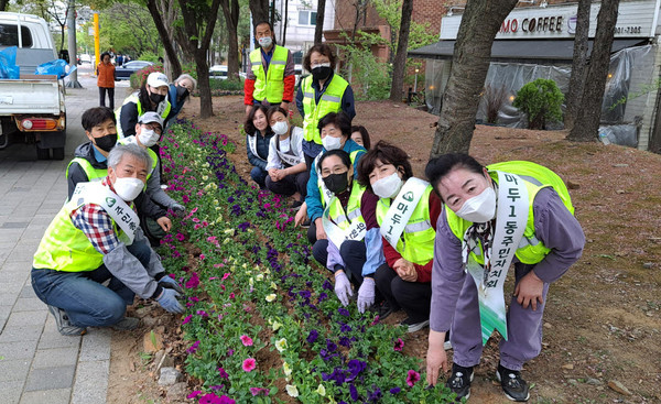  마을 내 상습적인 쓰레기 무단투기지역등에 3천 여 본의 페튜니아 식재를 마친, 마두1동. 