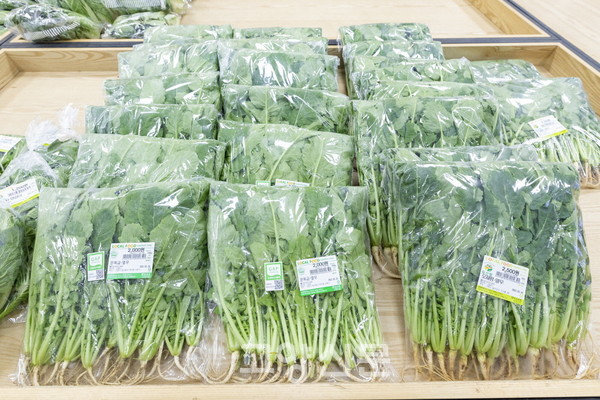 ▲ 고양시 대표 농산물인 ‘일산 열무’.