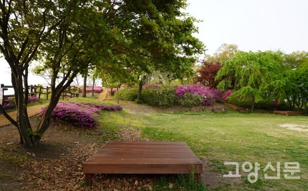 철쭉동산 부근의 넓은 쉼터. 군부대 운동장이 자리했던 곳이다.