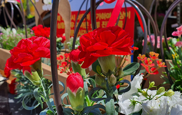 22021 화훼 직거래 장터 상품.