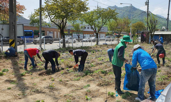 함께하는 행복텃밭 가꾸기 활동을 진행한 효자동 주민자치회와 관계자들.