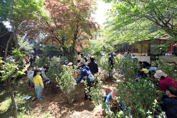 비어있던 공간은 주민들의 손길이 닿으며 어느새 마을숲이 되어가고 있었다.