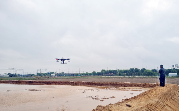 이닐 직파 볍씨 품종은 삼광벼다. 고양시 최초로 시작된 드론 직파에 청춘드론이 함께하고 있다.