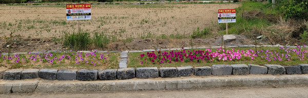 화단은 새롭게 조성되어 더 깨끗해졌다.