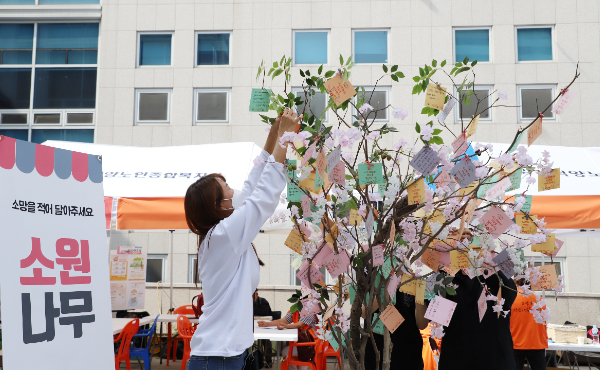 어르신들이 희망의 메시지로 꽃을 피운 소원나무.
