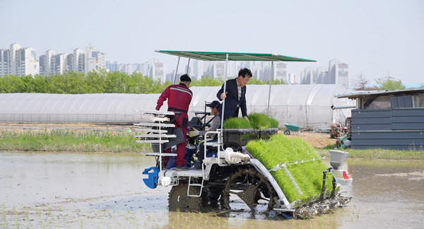 임용식 송포농협 조합장이 GPS무인 이앙기 모내기 시연에 함께하고 있다.