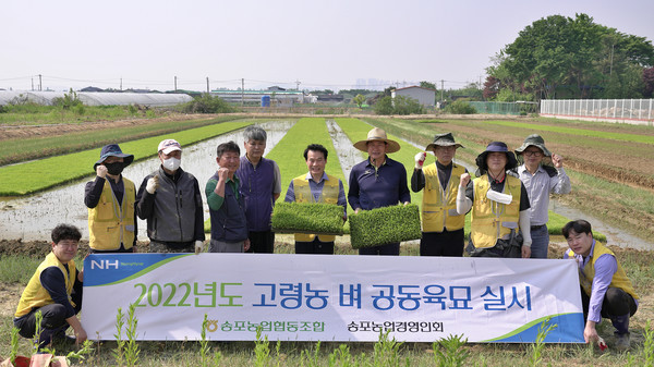 고령농 벼 공동육묘를 진행한 송포농협.