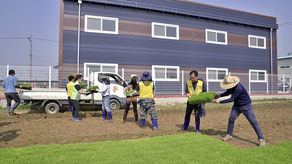 농업경영인 송포지구회와 농민, 송포농협 임직원이 모판을 나르고 있다.