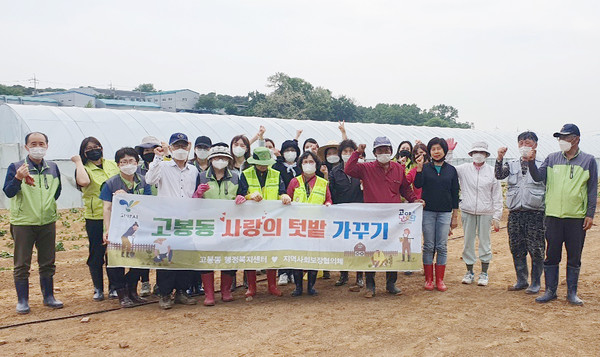 고봉동이 사랑의 텃밭에 고구마 모종을 심었다. 올 가을에 수확할 고구마는 지역의 어려운 이웃에 전달된다.