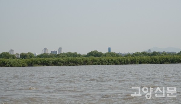 갯벌로 확장된 장항습지 선버들군락. [사진제공=에코코리아]