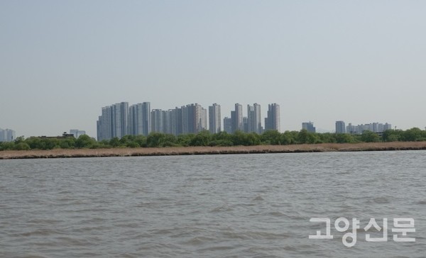 한강 한가운데서 바라본 장항습지. [사진제공=에코코리아]