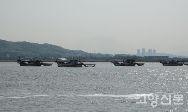 강 한가운데에서 조업중인 젓새우잡이배. [사진제공=에코코리아]
