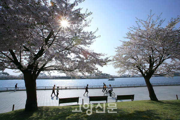 ▲ 일산호수공원. 사진=고양신문DB 