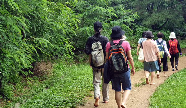  산을 걸으며 지구와 접지해 사람 내의 전자파를 땅이 흡수하도록 한다.