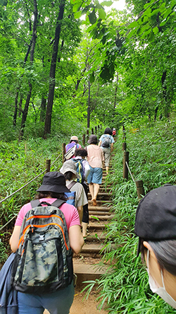 맨발걷기는 오염이 되지 않은 순수한 땅이 좋다고 한다.