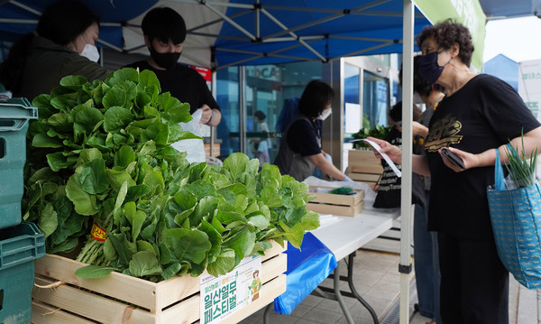 일산농협 로컬푸드직매장 킨텍스역점에서 진행된 일산열무 페스티벌.