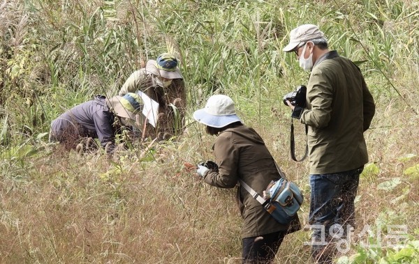 [사진제공=출판도시 갈대샛강 시민생태조사단]