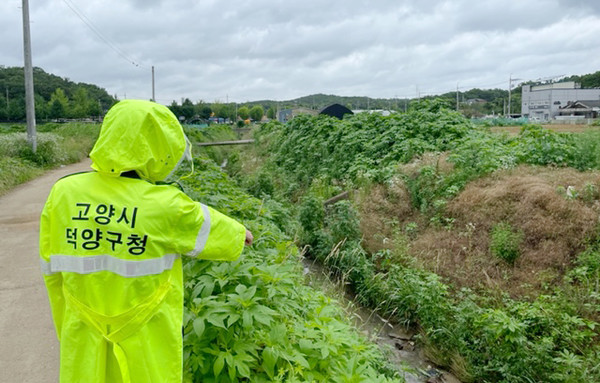 성사1동이 장마철을 대비해 상습적인 침수와 범람 예상 지역에 대한 안전점검을 하고 있다.