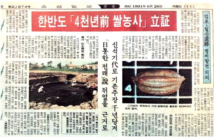 고양 가와지볍씨를 국내 첫 보도한 조선일보 (문화면 ‘91.6.26)