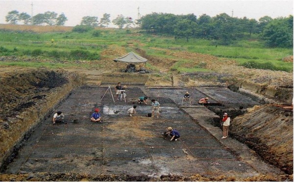 고양 가와지 2지구 발굴전경(2차 발굴, 1991.8)