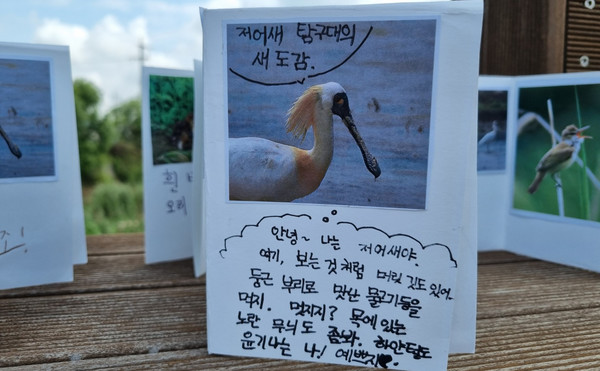 저어새 탐구대의 활동 내용.