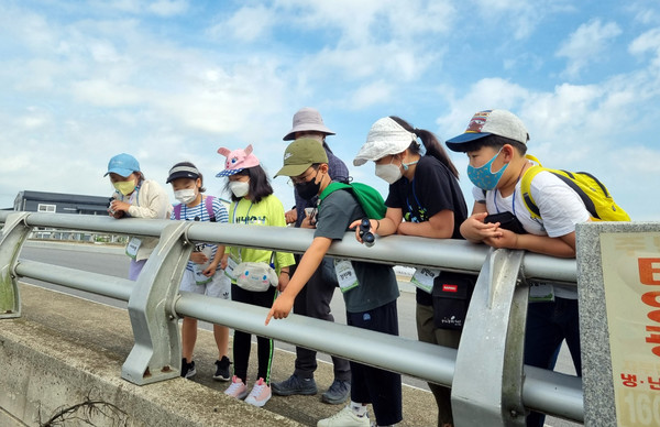 저어새 탐구대.