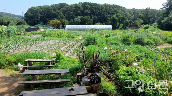 모두의 힘으로 잘 가꿔진 농장정경.