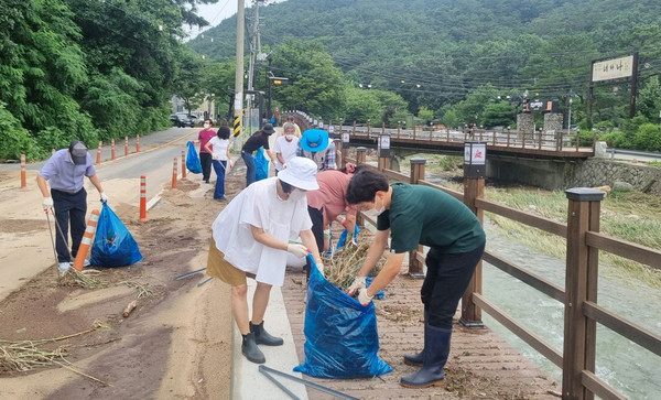 효자동이 지난 집중호우로 인한 창릉천변 쓰레기 처리를 위해 환경정화 활동을 했다. 