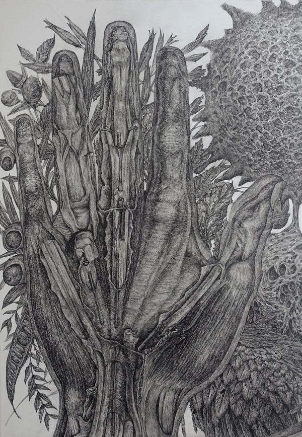 수상한 움직임_종이 위에 잉크_2022 (2)