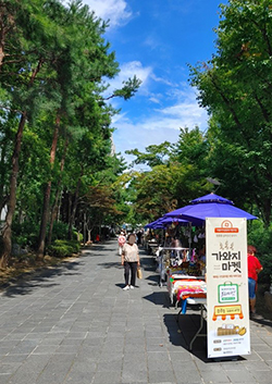  대화동이 '대화 김서한마당'을 열었다.