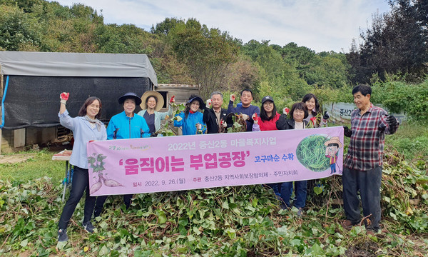 중산2동 지역사회보장협의체가 마을복지사업 ‘움직이는 부업공장’의 일환으로 고구마순 수확을 했다. 