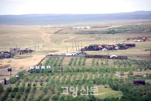 ▲ 몽골 돈드고비아이막(道)의 셍차강솜 지역에 100ha(헥타르) 규모로 조성된 '고양의 숲' 전경