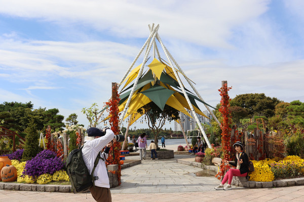 가을주제정원에서 사진 촬영을 하는 시민들.