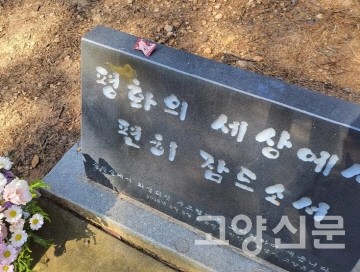[사진제공=김민애 독자]