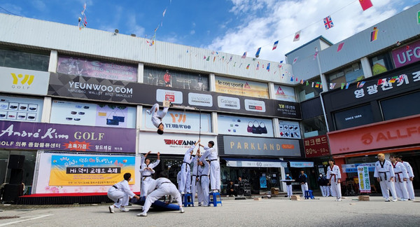 고양시립태권도 시범단의 멋진 공연.