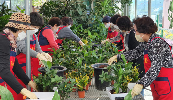 일산3동 주민자치회가 고양시 내 화훼단지에서 사랑의 반려식물 만들기를 진행했다.