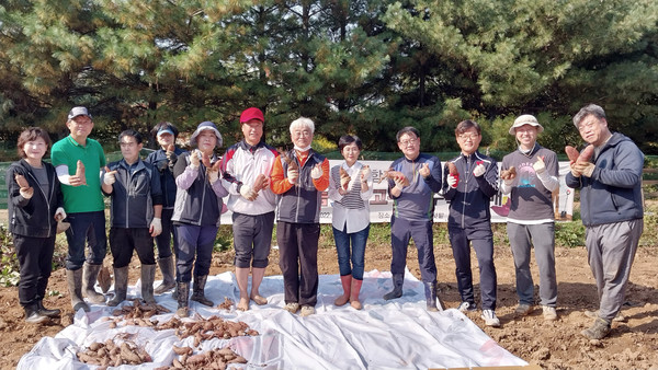 중산1동 주민자치회가 사랑의 나눔텃밭에서 고구마를 수확했다.