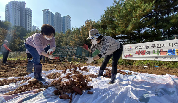 고구마를 쏟고 있는 중산1동 주민자치위원들