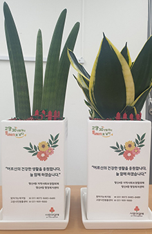 독거어르신에 전달된 사랑의 반려식물