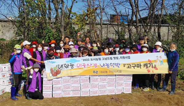  대화동 주민자치회가 이웃사랑 나눔 텃밭에서 고구마를 수확해 취약계층에 전달하는 나눔을 펼쳤다.