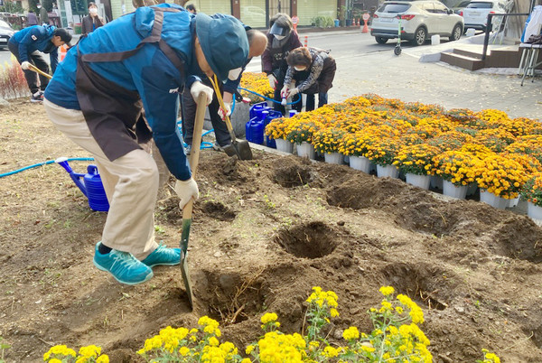 정발산동이 초화를 심고 있다.