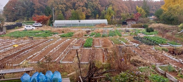 겨울이 다가오면서 점차 쓸쓸해져가는 농장풍경.