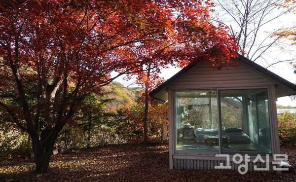 이호철 소설가의 집 마당의 단풍나무와 사방이 유리문으로 된 작은 오두막. 